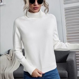 White Turtleneck Raglan Sleeve Solid Sweater
